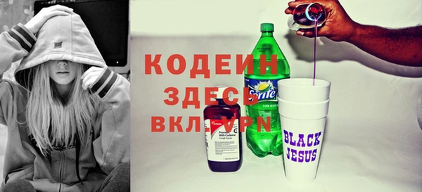 индика Медвежьегорск