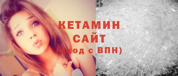 индика Медвежьегорск