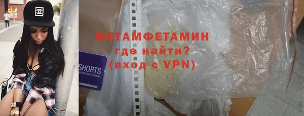 индика Медвежьегорск