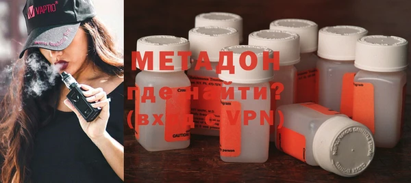 индика Медвежьегорск