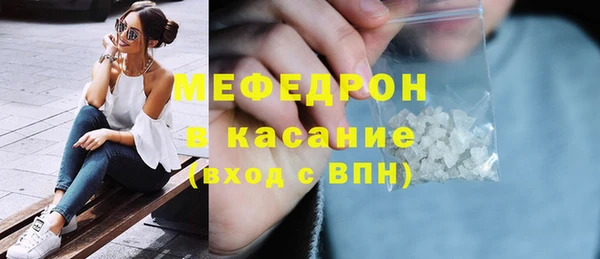 индика Медвежьегорск