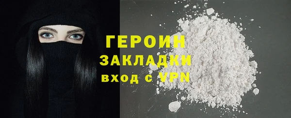 индика Медвежьегорск