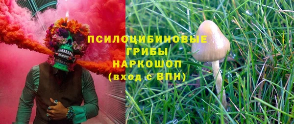 индика Медвежьегорск