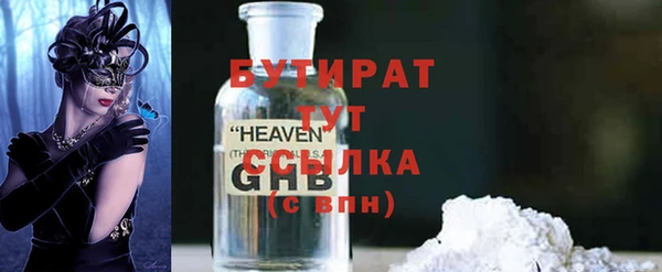 индика Медвежьегорск