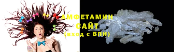 индика Медвежьегорск