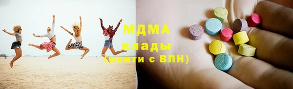 индика Медвежьегорск