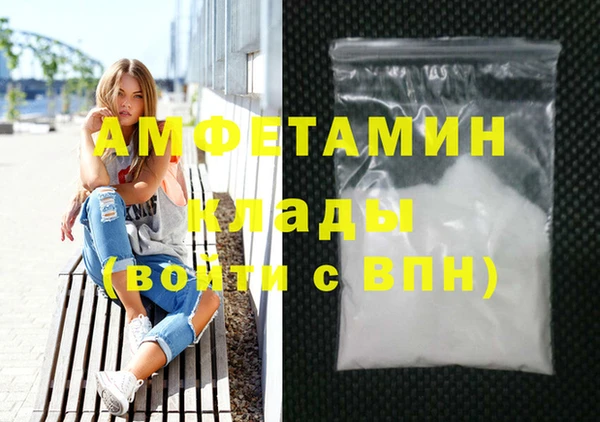 индика Медвежьегорск