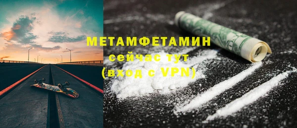 индика Медвежьегорск