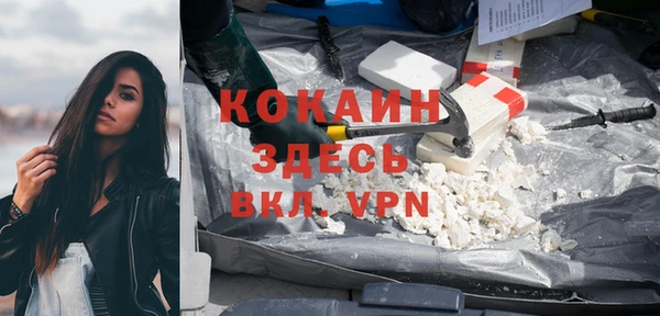 индика Медвежьегорск