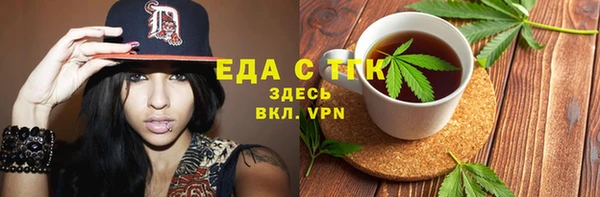 индика Медвежьегорск