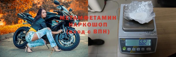 индика Медвежьегорск