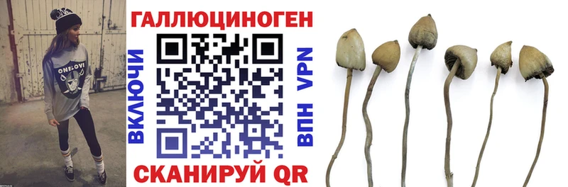 Галлюциногенные грибы MAGIC MUSHROOMS  Каменск-Уральский 