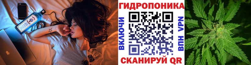 Бошки Шишки семена OMG как войти Каменск-Уральский